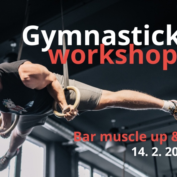 Gymnastický workshop